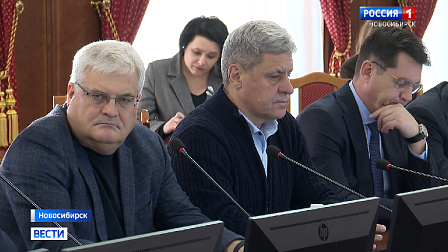 Депутаты призвали сократить отключения электроэнергии в Новосибирской области