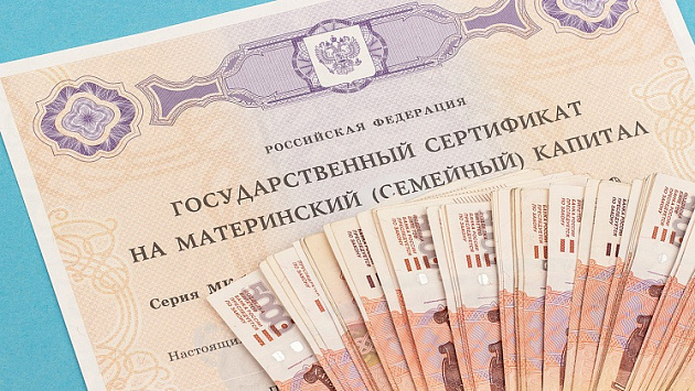 В Новосибирске завели уголовное дело за мошенничество с материнским капиталом