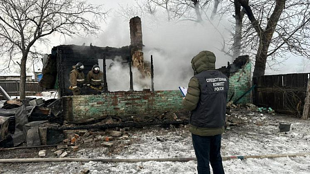 Четверо детей и их мама сгорели в пожаре в селе Новоселье Новосибирской области