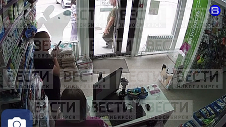 В Новосибирске продавец зоомагазина задержала серийного вора до приезда ГБР