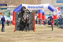 Спортивная среда: регистрация на гонку «Сибирский предел» идёт в Новосибирске