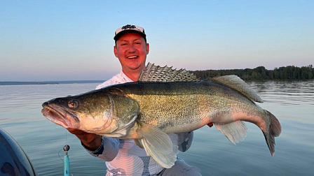 В Новосибирском водохранилище рыбаки поймали судака-гиганта длиной 97 сантиметров