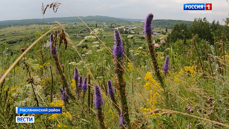 В старейшем селе Новосибирской области обустроили экотропу «Суенга»