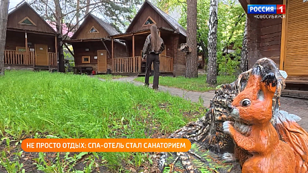 Полезная передача: создаём съедобный ландшафт, едем в санаторий