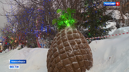 Новосибирская улица стала народной новогодней достопримечательностью