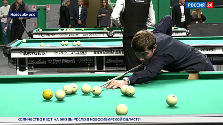Спортивная среда: Кубок мира по бильярдному спорту прошёл в Новосибирске