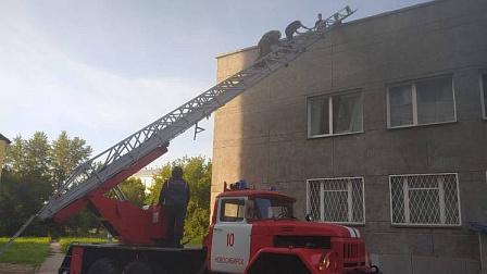 В Новосибирске спасатели сняли с крыши трех подростков