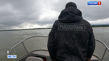 Инспекторы рыбоохраны устроили ловлю браконьеров у плотины Новосибирской ГЭС