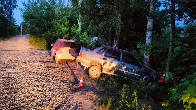 В Новосибирске пьяный автомобилист без прав сбил двух девочек и врезался в дерево