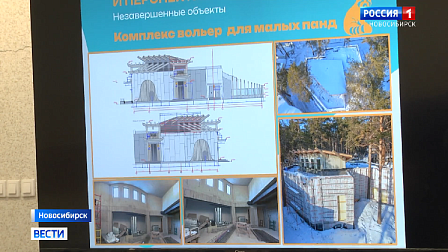 Новые вольеры для панд и жирафов строят в Новосибирском зоопарке