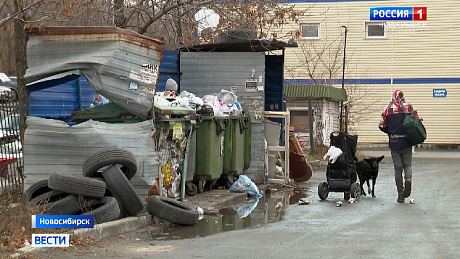 ВЕСТИ Новосибирск