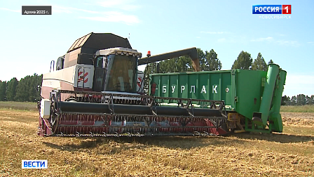 Под Новосибирском готовятся запустить производство рапсового масла