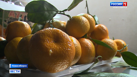 Крупные партии цитрусовых привезли в Новосибирскую область к Новому году