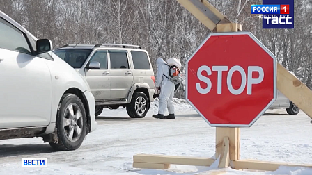 В Новосибирской области владельцы погибшего скота стали мишенью для мошенников