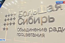 Стенд «Большой Сибири» оценила новосибирская делегация на ПМЭФ-2026