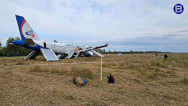 Пилотам севшего в новосибирском поле самолета Airbus A320 предложили уволиться
