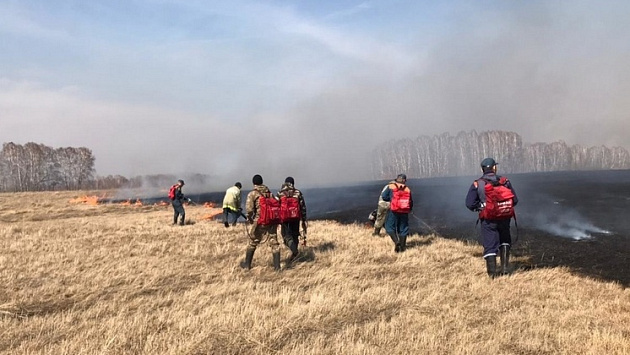 В Новосибирской области поджигающие траву фермеры лишатся господдержки