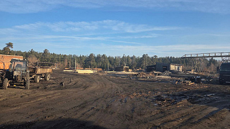 Сотрудников лесного хозяйства Новосибирской области обвинили во взяточничестве