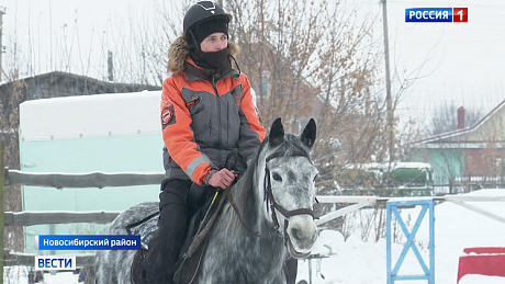 ВЕСТИ Новосибирск