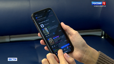 Новосибирцам дали советы по умным покупкам в предновогоднюю распродажу