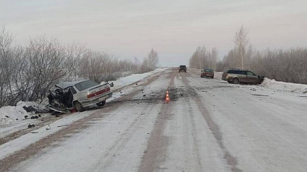 В Новосибирской области шесть человек пострадали в пьяном ДТП на ночной дороге