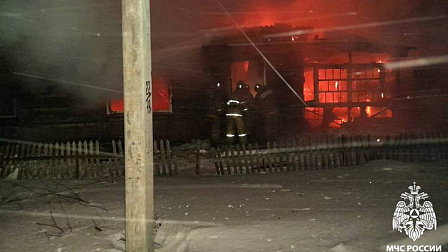 В Новосибирской области пожилая пара сгорела в частном доме