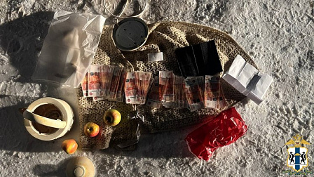 В Новосибирске поймали 14-летнего курьера мошенников