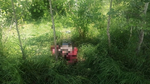 Новосибирские следователи возбудили уголовное дело после обнаружения человеческих останков