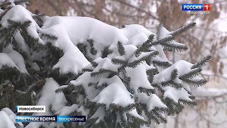 В Новосибирской области аномальная зима бьет рекорды