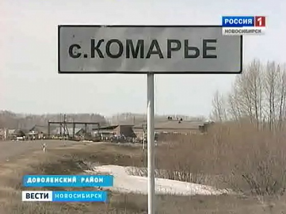 Погода в комарье. Комарье Доволенский район. С.Комарье Доволенского района Новосибирской области. Ксрьа довлленсеого района. Комарье Доволенский район на карте.