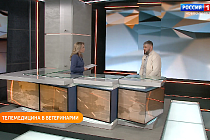Полезная передача: осваиваем телемедицину для животных, выбираем спрей для носа