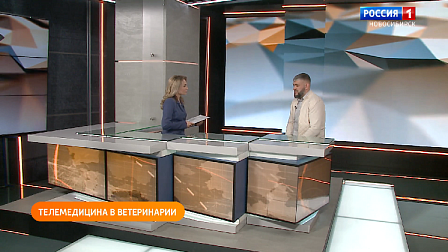 Полезная передача: осваиваем телемедицину для животных, выбираем спрей для носа