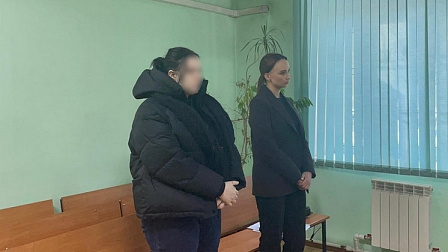 В Новосибирске арестовали мать найденного в мусорном баке младенца