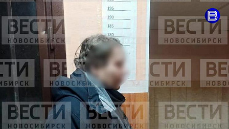 Житель Новосибирска выследил и напал на девочку около лифта на 16-м этаже